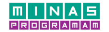 Minas Programam logo